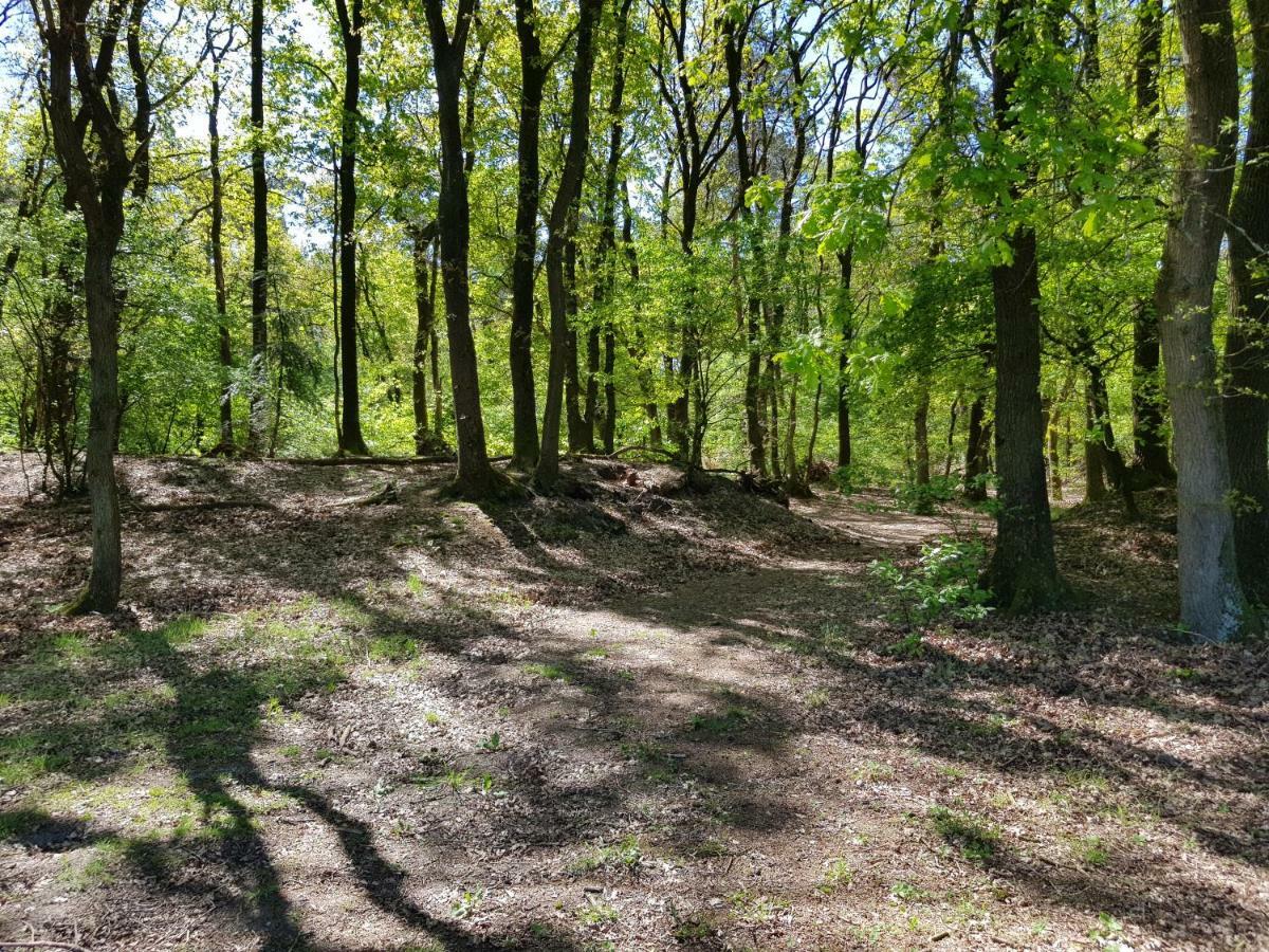 Bungalow Hartje Veluwe อ็อตเตอร์โล ภายนอก รูปภาพ