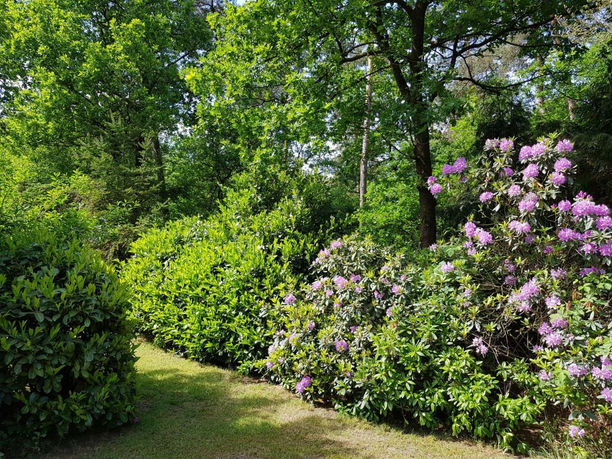 Bungalow Hartje Veluwe อ็อตเตอร์โล ภายนอก รูปภาพ